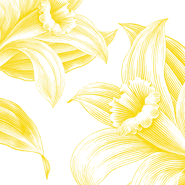 Picture - T&C flower banner mobile